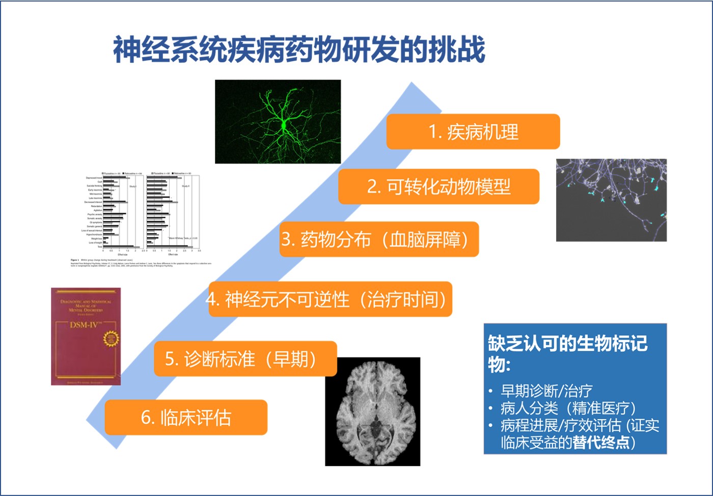 CNS挑战PPT